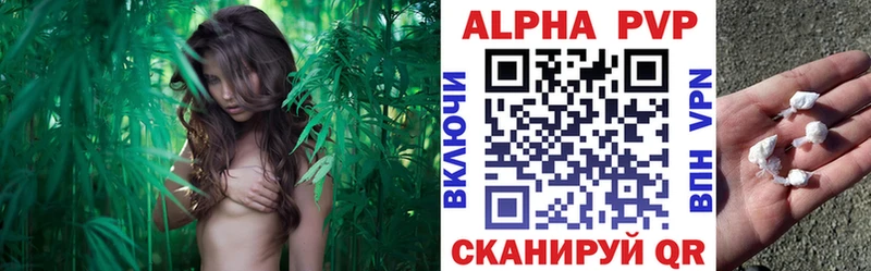 Alpha PVP мука Гвардейск