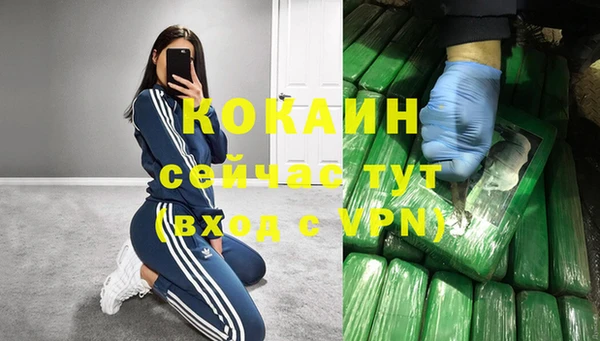 соль ск Пересвет